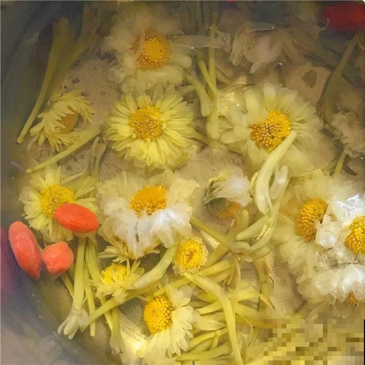 这花就是现在开，上火的时候摘几朵，泡水一喝就没事！