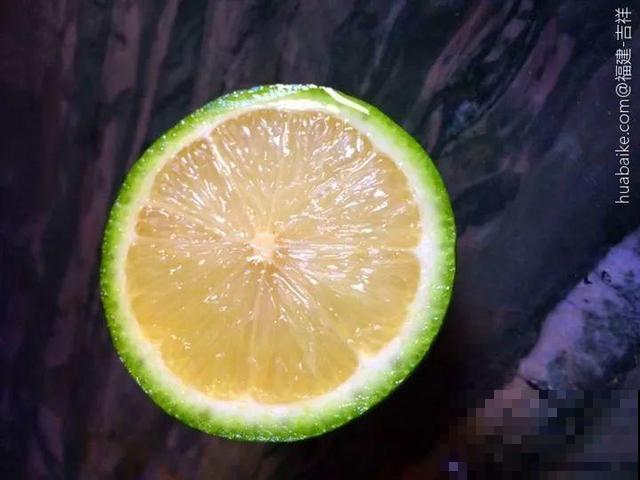 花香堪比香水，邻居大妈都追着问，眼馋极了