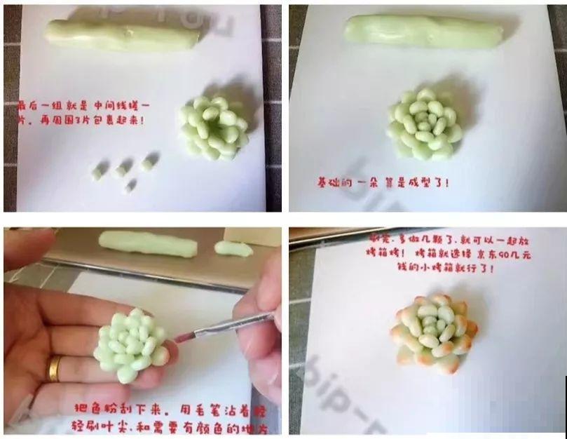 多肉别在发卡上，不说没人知道是假的，胖嘟嘟的超级萌！