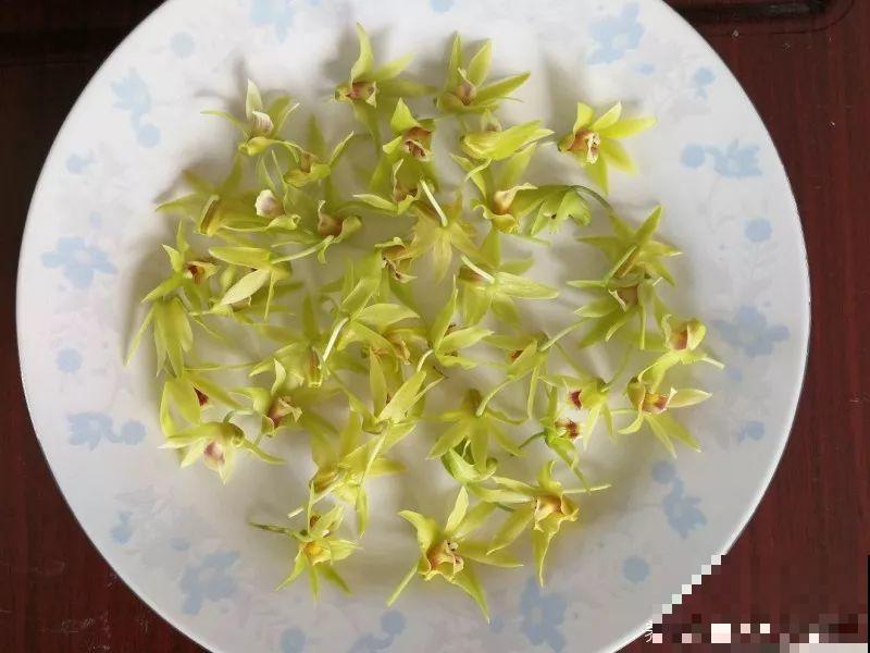 这花养一盆，满屋飘香，摘下来还能泡水喝！