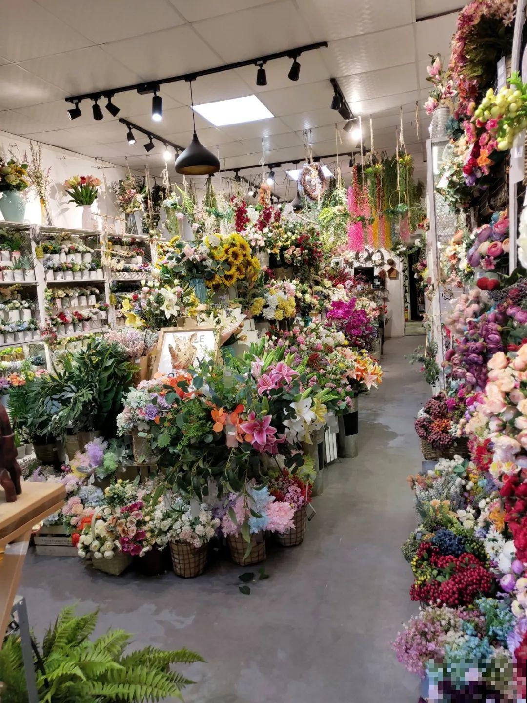 9月份逛花市，这花最好看、最好养，放心抱回家！
