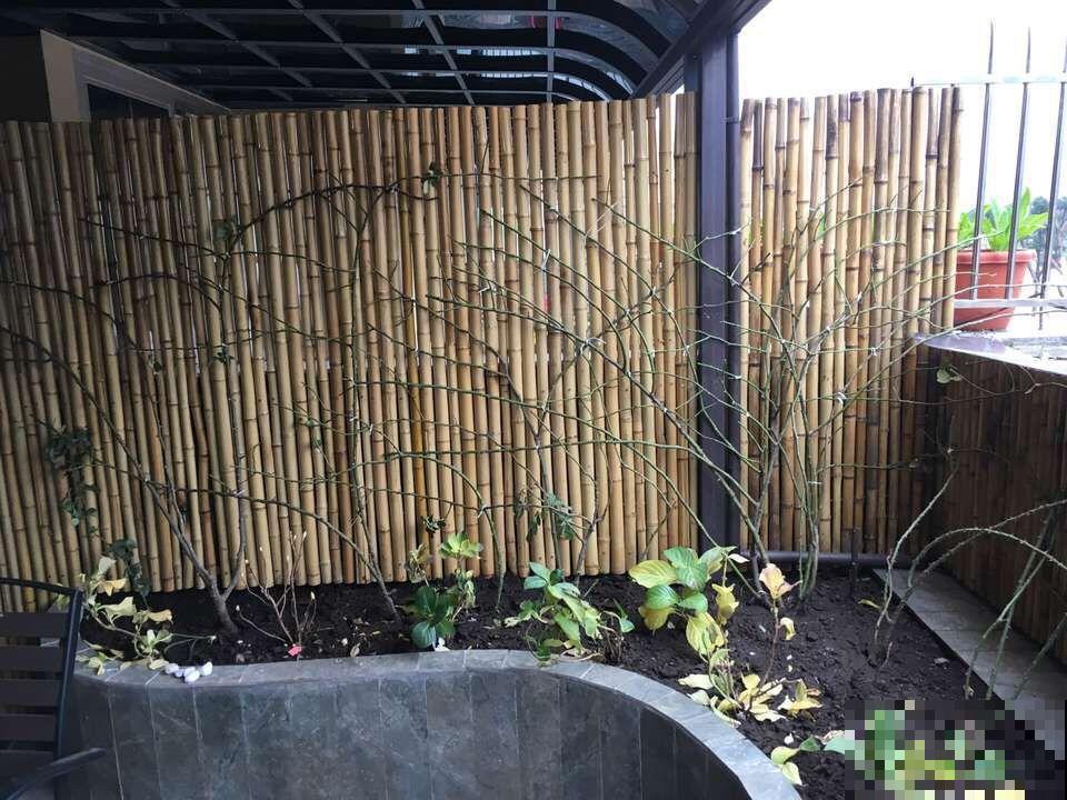 他家的露台，转眼一年大变身，赏花喝茶，像诗一样的生活！