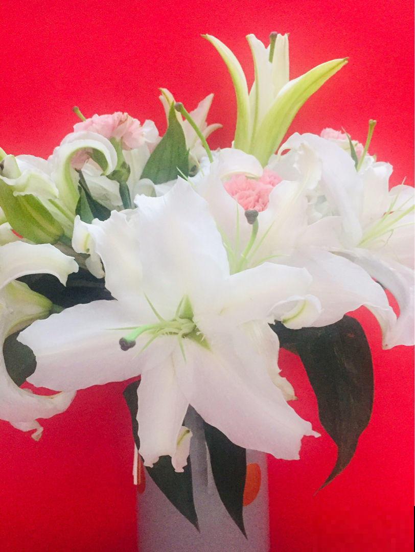 这几种花，自家阳台就可以种，养好后堪比皇上的御花园