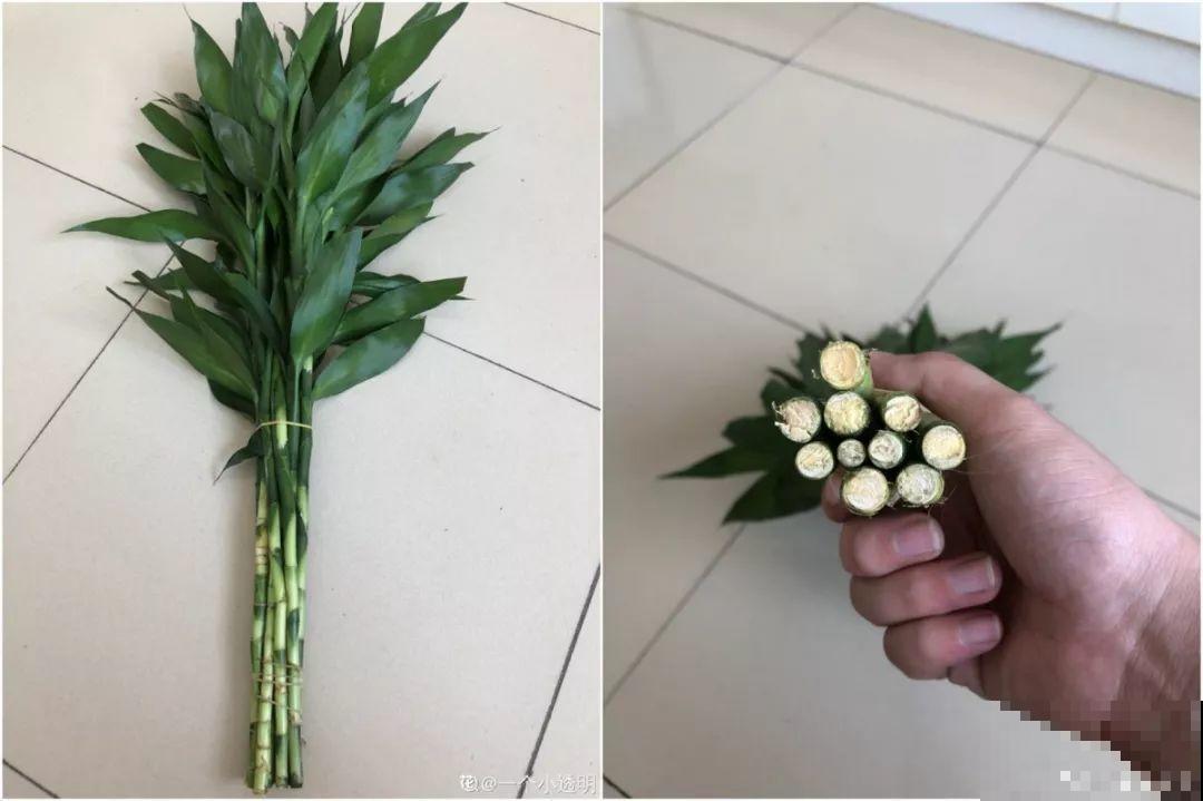 这花寓意极好，十块钱一捆，插水里就能活！