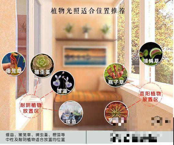 这5种重口味的花，自己就能“找食吃”，最适合秋冬养！