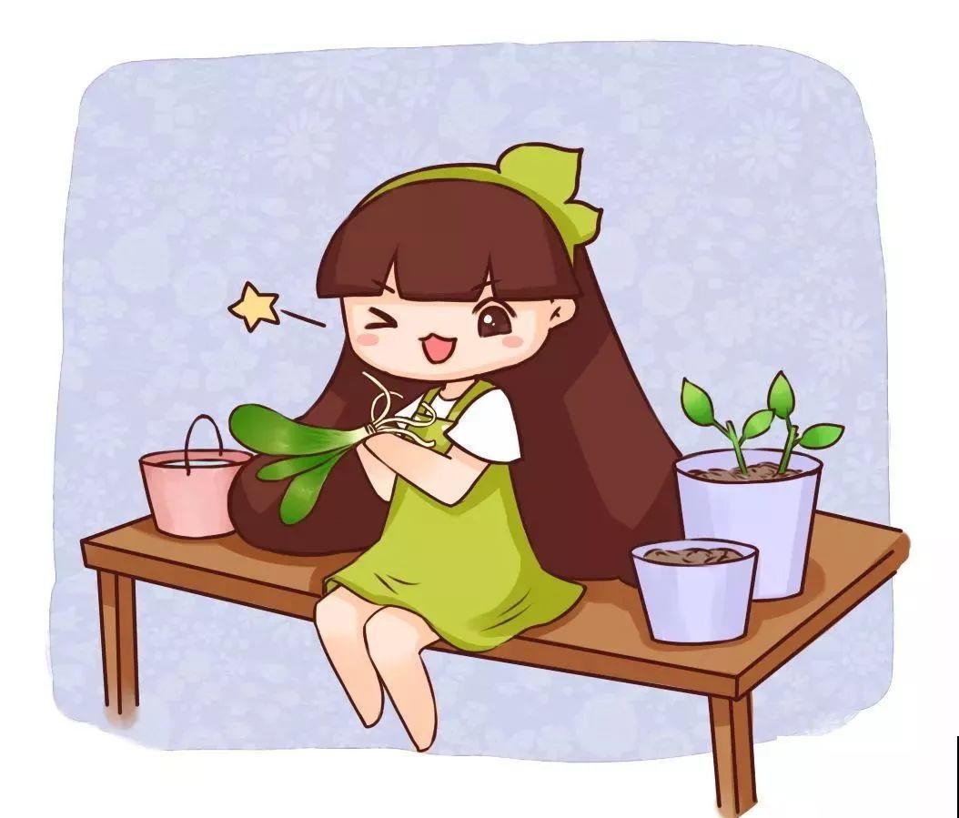 这8种花，趁着秋天赶紧分株，明年光买盆就够了！