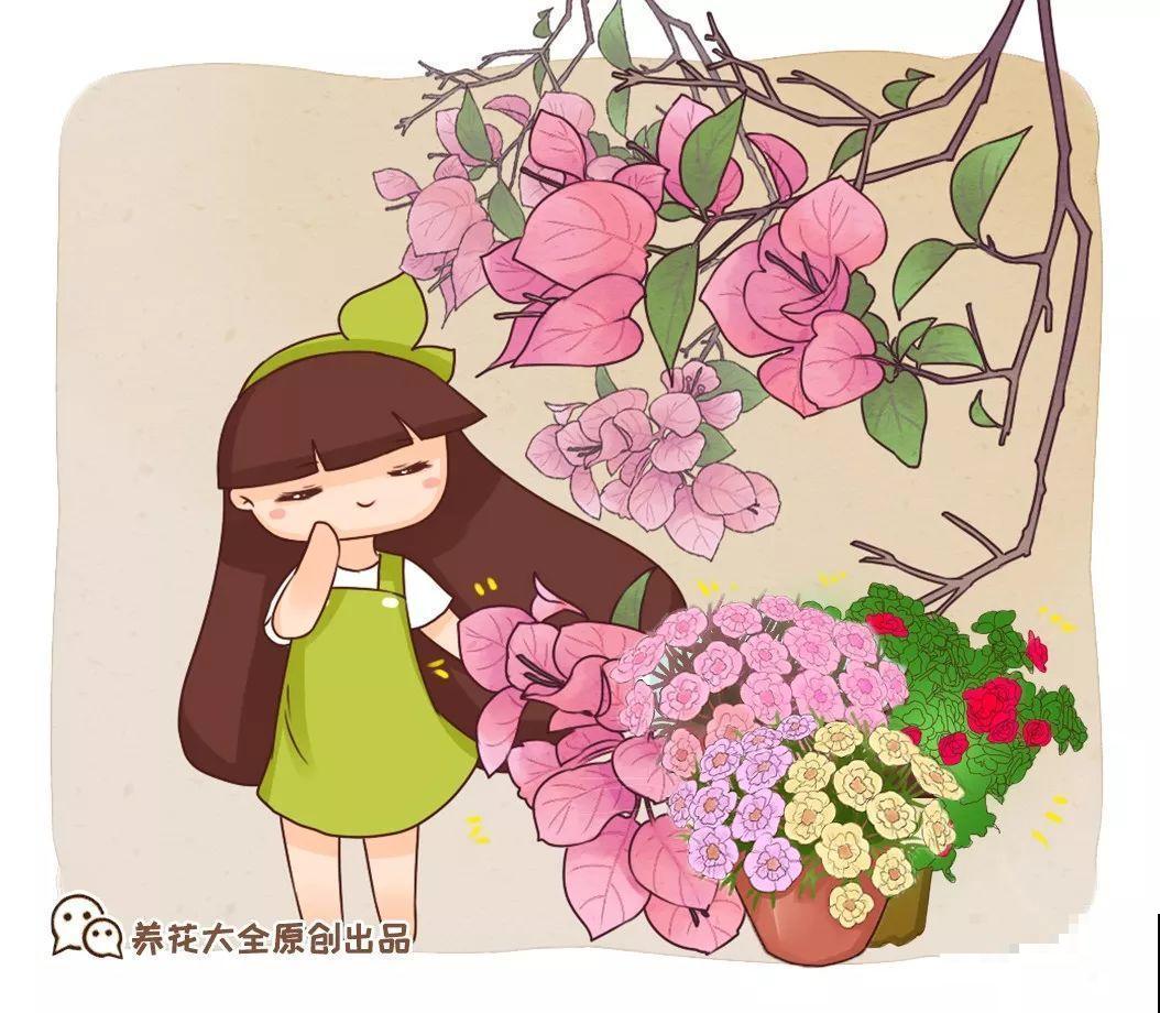 这5种花，放室内养不好，一搬出去立马就疯长！