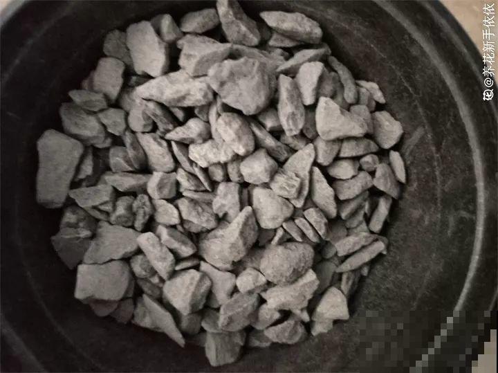 出门捡点它，正好秋天换盆用，花越养越茂盛！