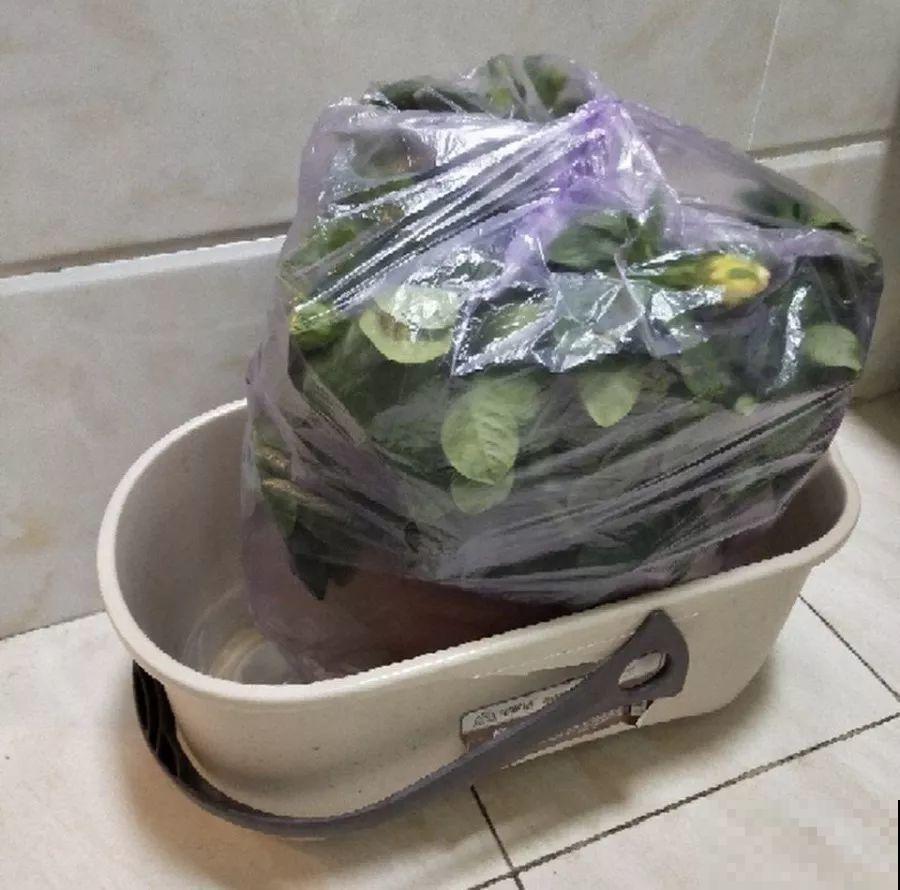 花蔫了别总浇水，这5点不知道，浇一盆死一盆！