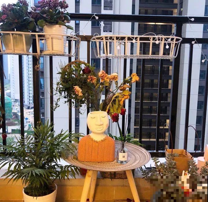 阳台别晾衣服了，用这个方法养花，一下子多出30盆！