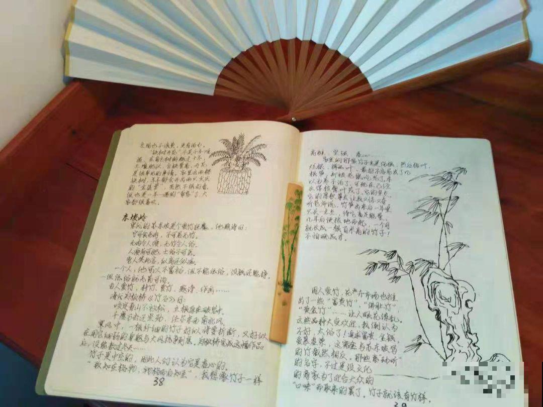 16岁男孩，为重病奶奶建花园，2年种了上百盆花！