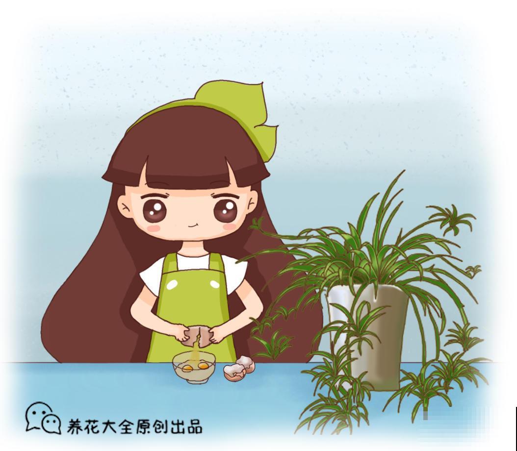 鸡蛋壳养花还真是神奇，撒上点，来啥都不怕！