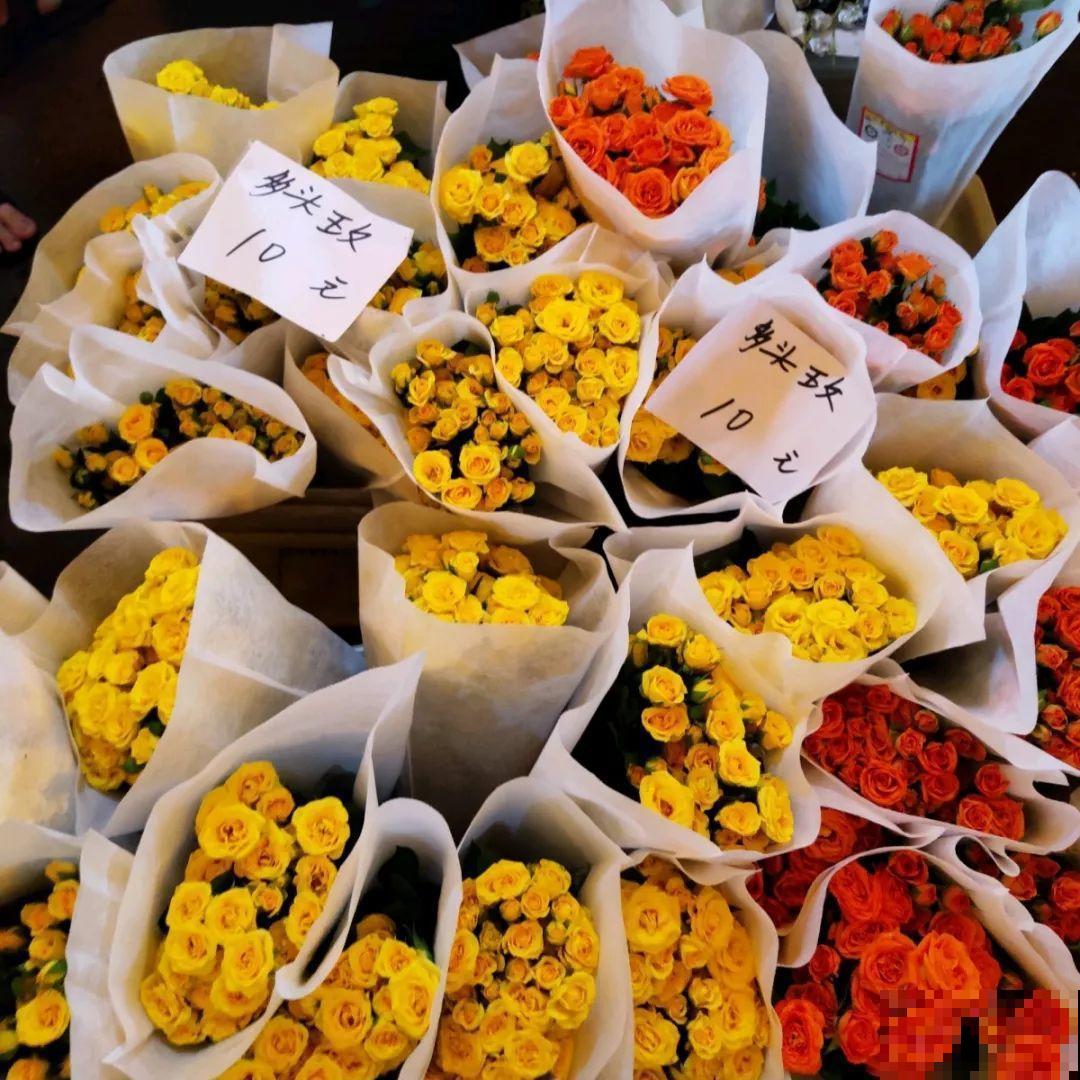 9月份逛花市，这花最好看、最好养，放心抱回家！