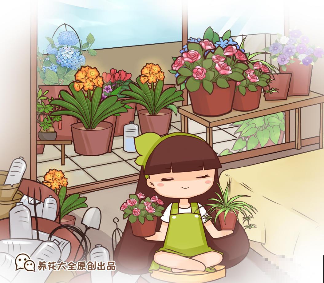 这3种花，秋天喂饱了，长得油绿壮实好过冬！