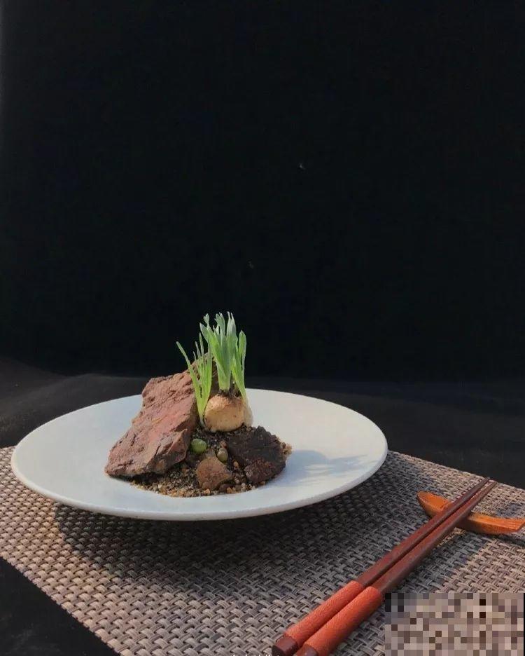 厨师改行养多肉，色香味俱全，真想让人一口吃掉！