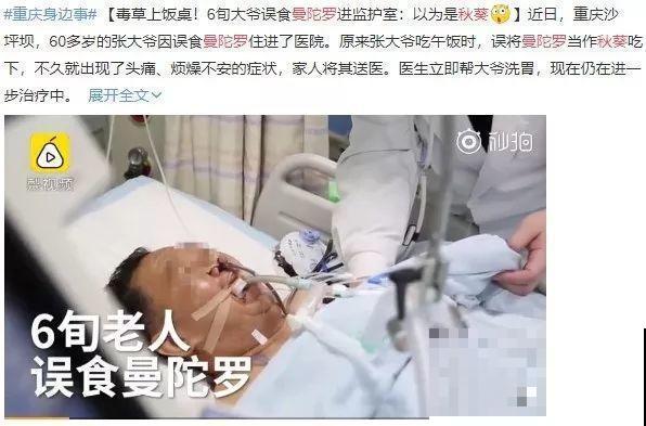 出门碰见这8种草，千万别碰，离的越远越好！