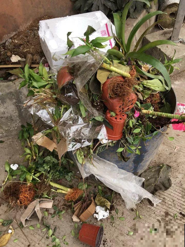 周末去这个地方，遍地都是宝贝，丢人也要捡！
