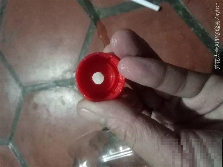 养肉的4个小窍门，一根吸管就搞定，就算黑腐也不怕！