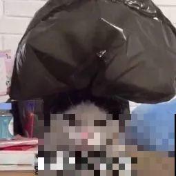 养花不易，碰上这样的伸手党，真没法好好做朋友了！