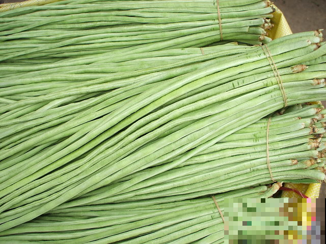 家里的菜园子不知道栽种些什么，种点它，一茬一茬吃不完！