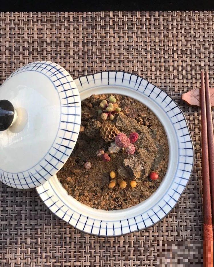厨师改行养多肉，色香味俱全，真想让人一口吃掉！