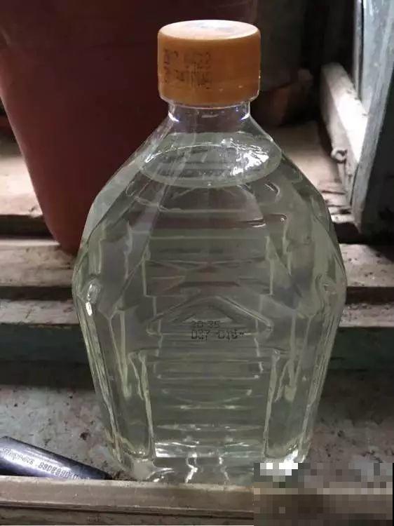 富贵竹扔水里不见长？加粒小药片，一周呼呼长出大白根！