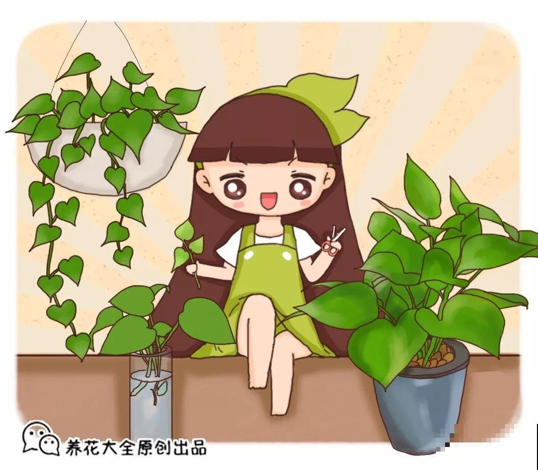 给花换个时髦养法，天天浇水都不怕，养10年都没问题！