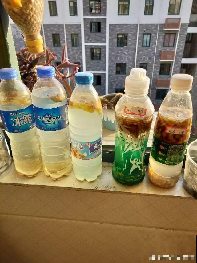 随处可见的水果皮，直接拿来沤肥，长出来的植物嗖嗖蹿个