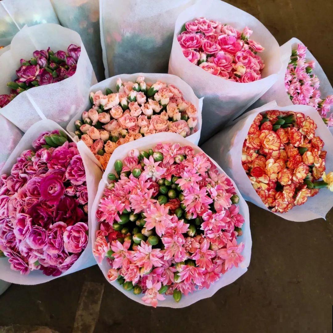 9月份逛花市，这花最好看、最好养，放心抱回家！
