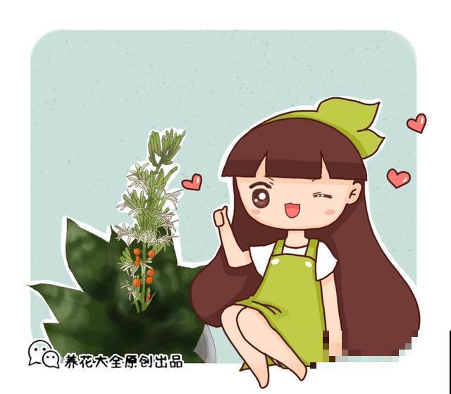 花养着就死了，一定是错了这几步，不知道这几个小技巧太亏了