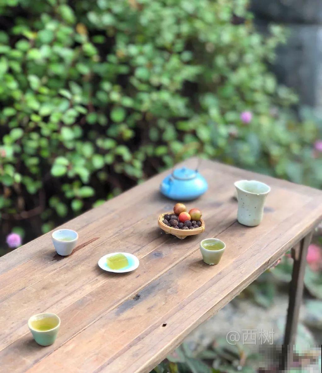 中国最小的院子，养花喝茶一辈子，人生岂不乐哉！