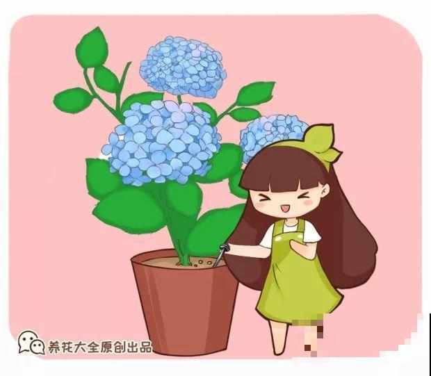 土里埋个废铁钉，养花再也不黄叶，疯长起来拦不住！