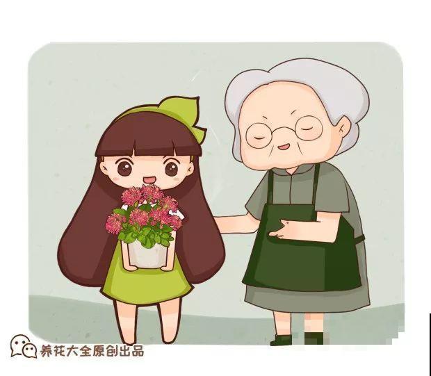 年纪大了，就养这6种寿星花，健康养身心