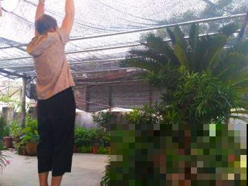 16岁男孩，为重病奶奶建花园，2年种了上百盆花！