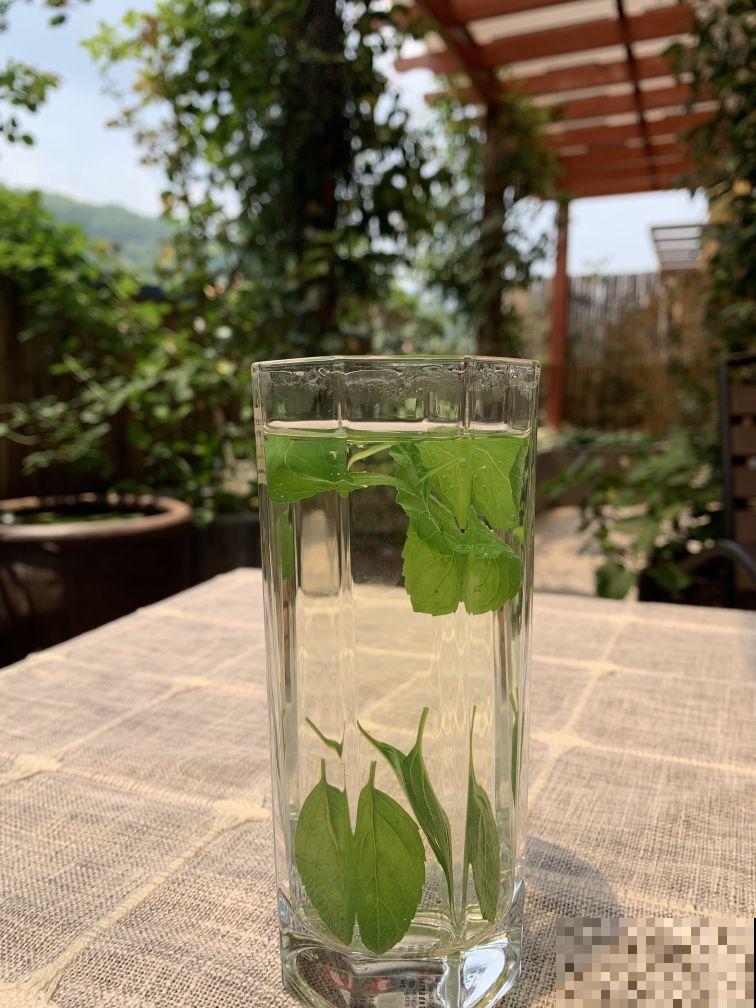 他家的露台，转眼一年大变身，赏花喝茶，像诗一样的生活！