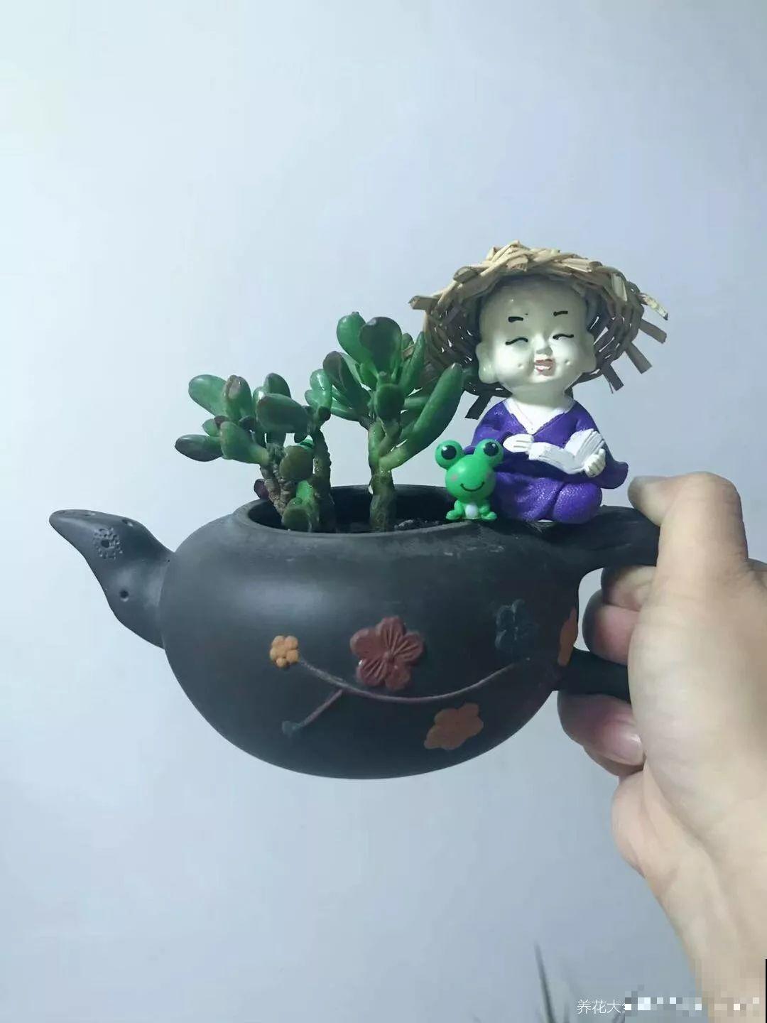 周末回农村，捡几个老物件养花，竟然特别上档次！