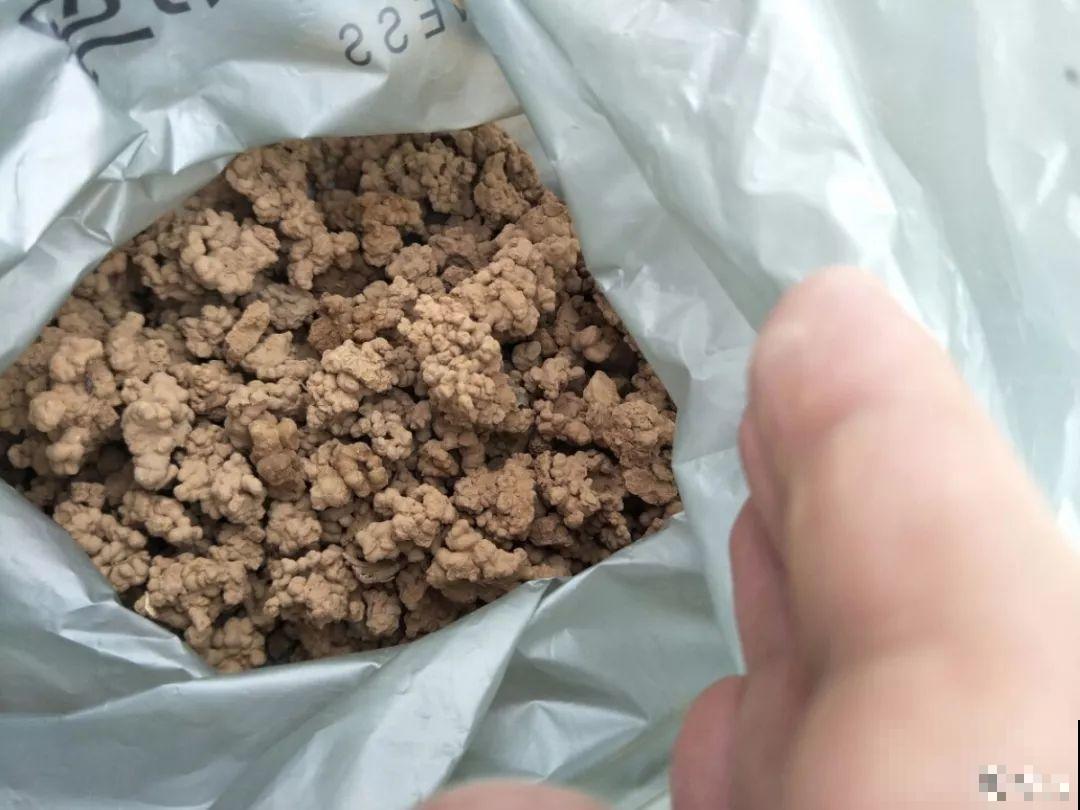 盆土硬成大疙瘩，浇点松土剂，立马软得像发糕！