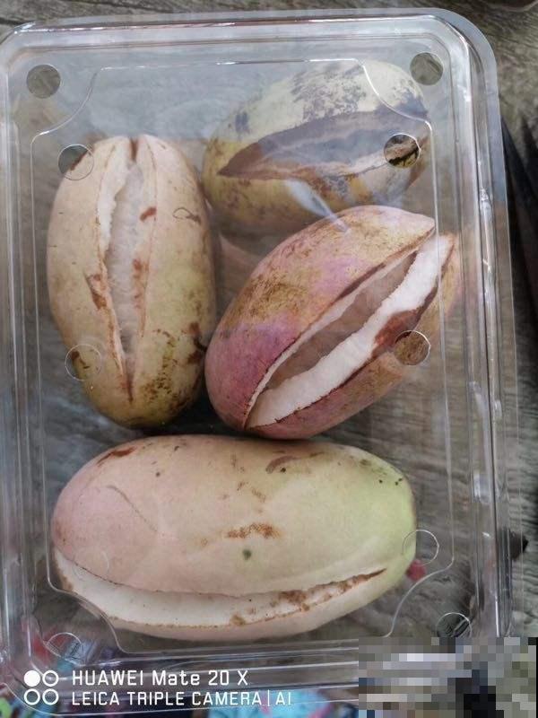 这野果是80后的最爱，个头大还美味，山上转一圈能摘一大筐！