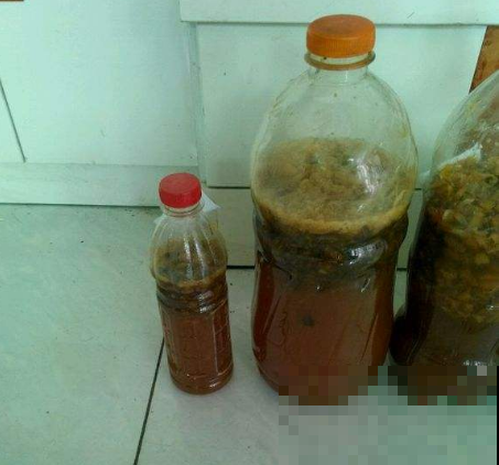 原来玉米养花效果这么好，既能施肥还能防烂根，赶紧准备一根！
