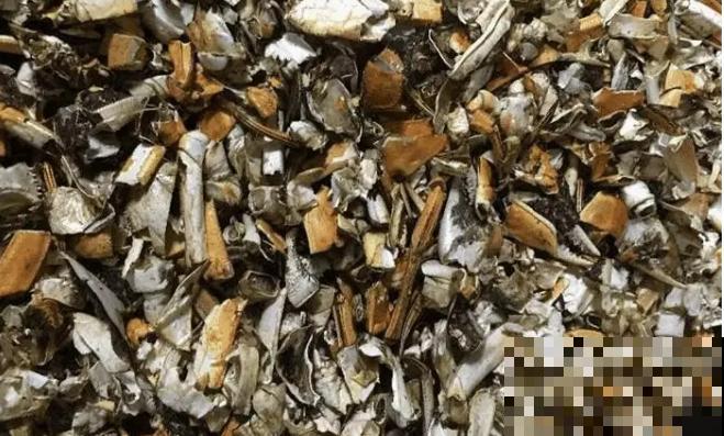 海鲜别光自己吃，把壳一处理，拌土里透气还在增肥！