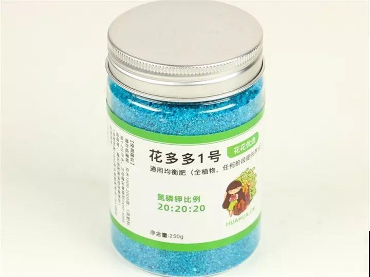 秋天给多肉施肥，就选这5种，小芽一个接一个的往外冒！