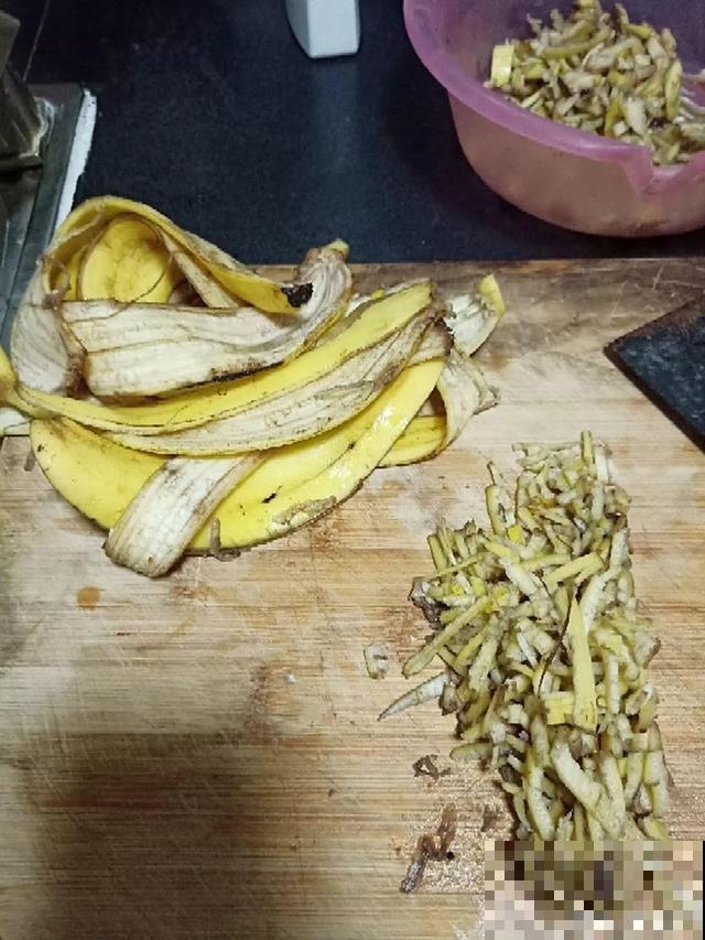 随处可见的水果皮，直接拿来沤肥，长出来的植物嗖嗖蹿个