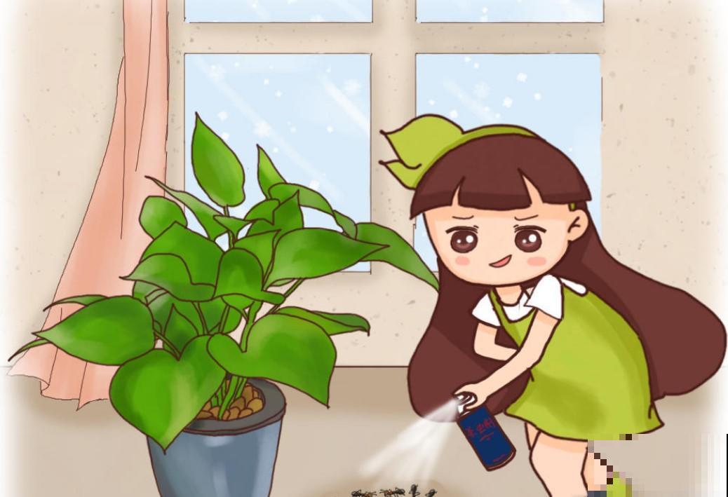 不管是啥花，都有一群蚂蚁做窝，这些就能把它消灭掉！