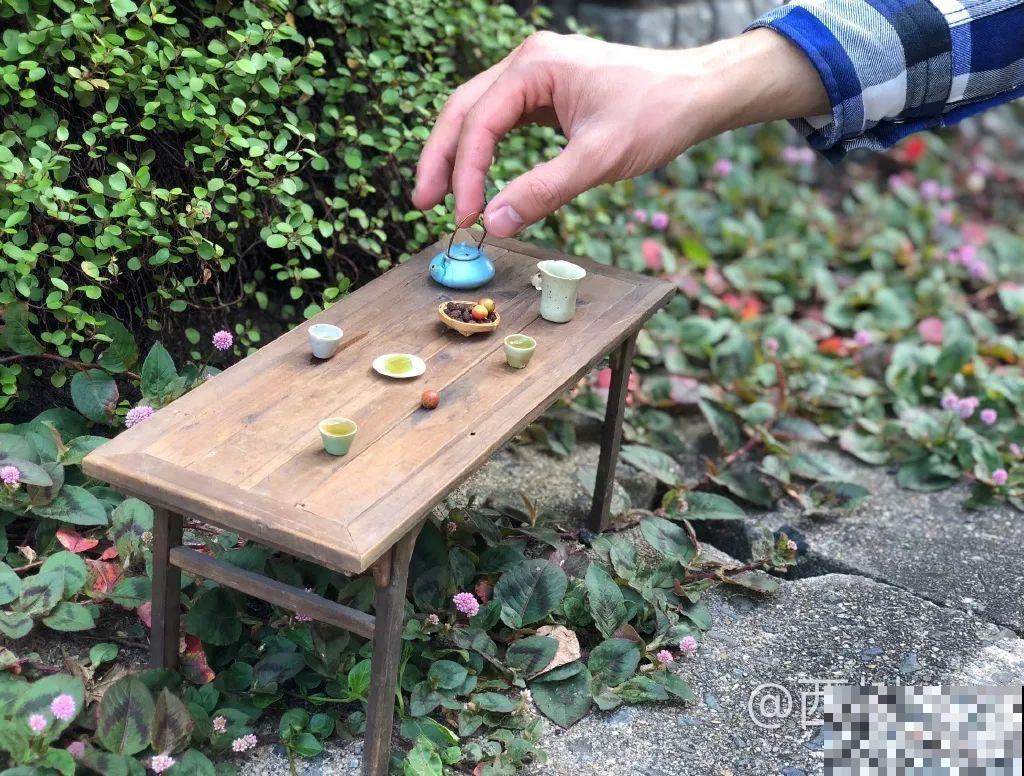 中国最小的院子，养花喝茶一辈子，人生岂不乐哉！
