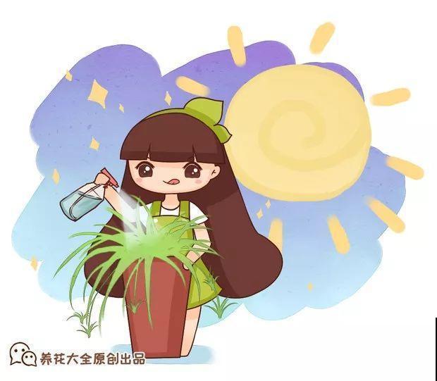 它是天然“生根剂”，给花浇一点，根系壮猛发芽！