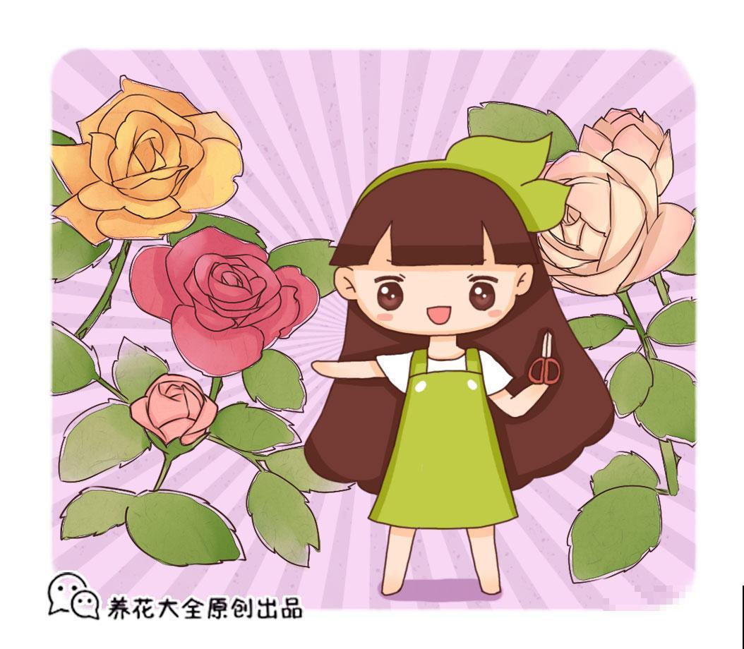杜鹃花长得太美像玫瑰？做到这几点，花期还能提前