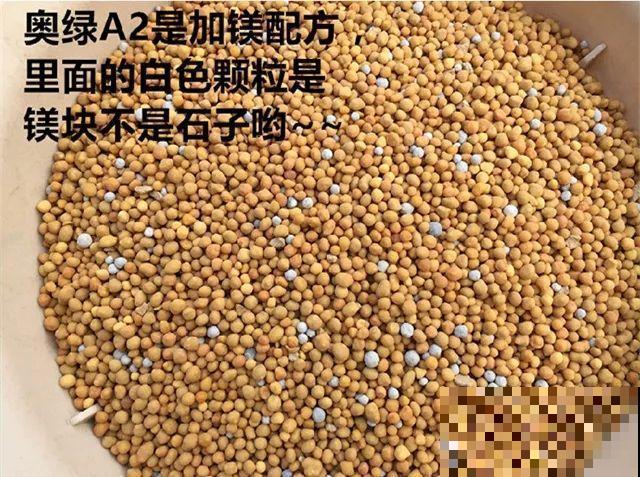 秋天给多肉施肥，就选这5种，小芽一个接一个的往外冒！