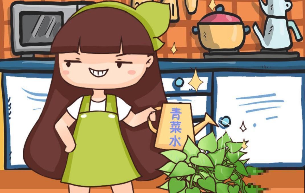 花叶常青藤扦插，两周就生根，叶子呼呼往上长！