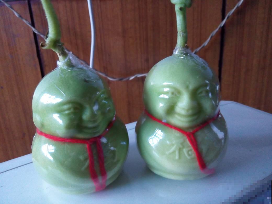 小娃娃模样的果子，卖到几十元一个，真是一点也不值！