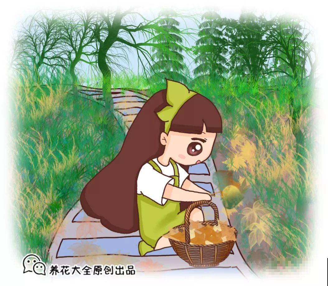 挖一勺果肉丢盆里，7天冒出小森林，比绿萝吊兰还好看！